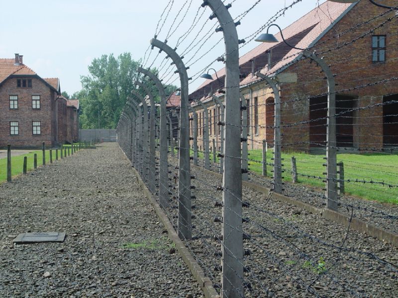 Auschwitz Wire2